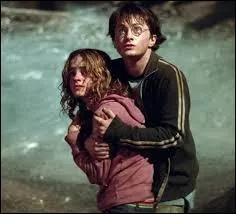 Harry est amoureux d'Hermione.
