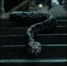 Nagini est un animagus.
