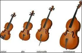 Rappel sur les familles d'instruments, ces 4 instruments font partie des :