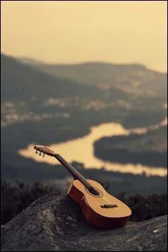 Quant  la guitare, elle fait partie des cordes :