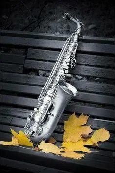 Le saxophone fait partie :