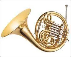 Dans les vents, le cor fait partie des :