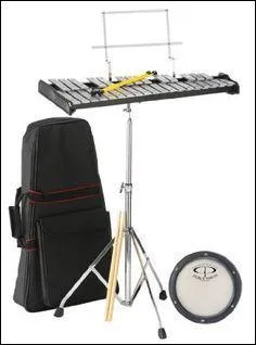 Comment s'appelle cet instrument et de quelle famille est-il ?