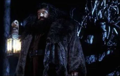 Comment s'appelle ce personnage ?