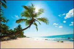 Gographie - Quelle est la plus grande le des Antilles ?