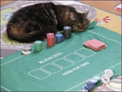 Aurez-vous un jackpot de bonnes rponses ? Le mathmaticien Grigori Perlman refusa de toucher le million de dollars promis en dmontrant :