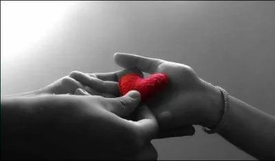 Daniel Desbiens disait d'ailleurs  Au choix : on peut vivre afin de devenir plus riche :