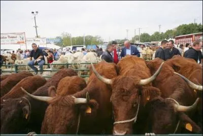 Une foire est organise  Beaucroissant en avril. Toutefois  quelle date l'autre grande Foire de Beaucroissant assortie de sa foire au btail a-t-elle traditionnellement lieu ?