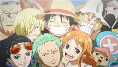 Qui a le haki dans l'quipage des chapeaux de pailles ? (deux ans aprs)