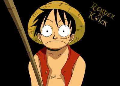Qui est amoureuse de Luffy ?