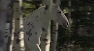 Comment s'appelle ce cheval dans la saison 2 ?