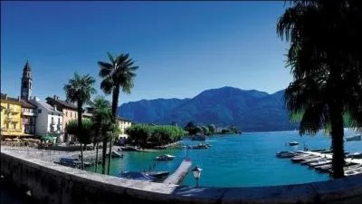 Oublions la banalit de la signification donne  ce nom pour en retenir l'humour. Il dtient la coupe d'argent aux jeux de langues trangres sur Quizz.biz. Je le sacre empereur de la plus franche et chaleureuse camaraderie dans des conversations savoureuses et cultives. Couronne d'or sertie de finesse.