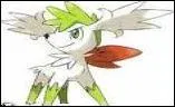 Qui est ce Pokmon ?
