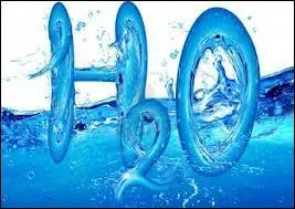 J'ai jou dans la srie  H2O . Qui suis-je ?