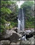 Quelle rivire forme la cascade du Saut de la Truite ?