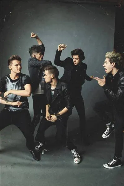 Quel membre du groupe a demand  aller aux toilettes sur un plateau TV ?