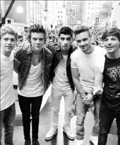 Quel membre des garons a rat son solo et en a pleur ?