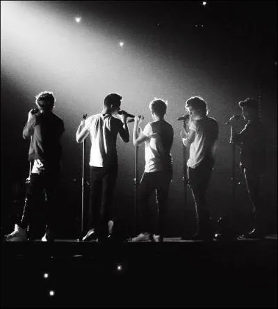 Quel(s) garon(s) prfre(nt) les blondes ?