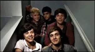 Lors d'une 'vido diary', Liam a dit qu'tre invisible serait le pouvoir qu'il souhaiterait avoir, et l'un des membres lui a dit qu'il l'tait dj. Lequel ?