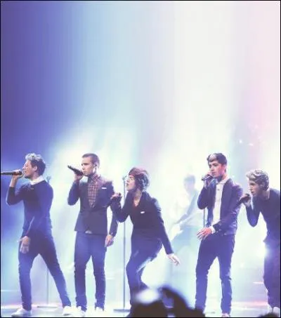 Quel membre refuse (pour l'instant) d'avoir des tatouages ?