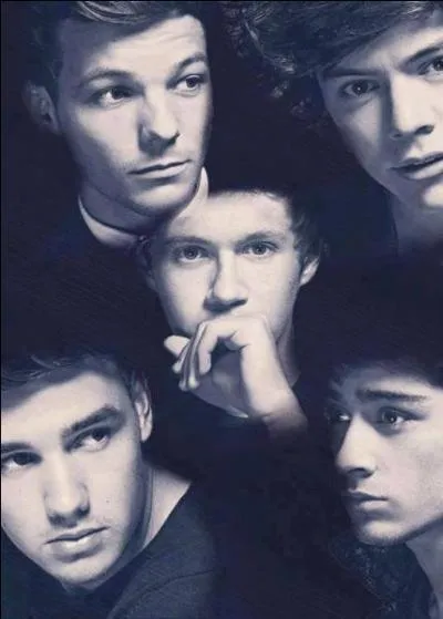 Quel est le nom de leur prochain album ? (2013)