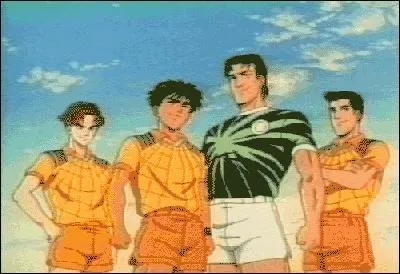 A quel anim appartient cette image