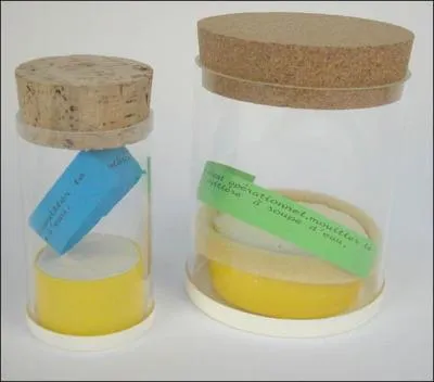 A quelle date se donnera-t-il finalement la mort ?