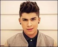 Quel ge Zayn a-t-il ft en 2012 ?