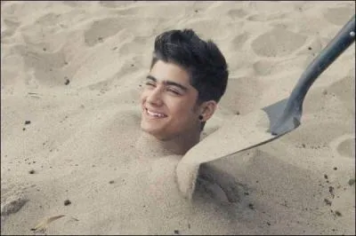 Combien Zayn a-t-il de surs ?