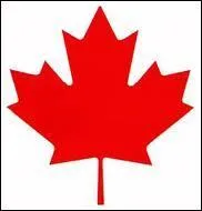 De quelle feuille est orn le drapeau canadien, combien de point comporte t-elle et en quelle anne a-t-il t adopt ?
