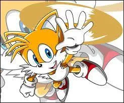 Qui est le meilleur ami de Tails ?