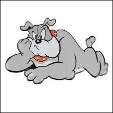 Comment s'appelle ce chien ?