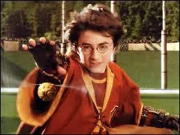 Au premier match de Quidditch, Harry a perdu un moment le contrle de son balai. Comment Hermione a-t-elle russi  arrter cela ?