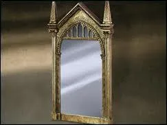 Le miroir du Risd est trs particulier. Mais que montre-t-il exactement ?