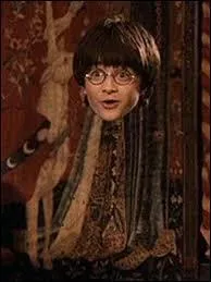 Le soir du dpart de Norbert, Harry et Hermione ont oubli la cape en haut de la tour d'astronomie. Comment l'ont-ils rcupre ?