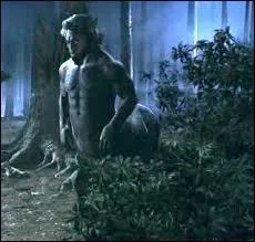 Quel centaure sauve Harry dans la Fort Interdite ?