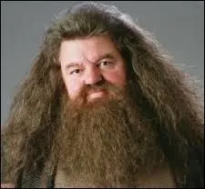 Chaque professeur a fourni une protection a la pierre, mme Hagrid. Mais une erreur s'est glisse ci-dessous, sauras-tu la trouver ?