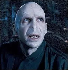 Lord Voldemort a un nom bien sombre, si sombre que personne n'ose le prononcer. Personne, sauf certains, comme :