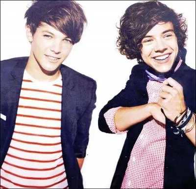 Quels sont les surnoms de Louis et Harry ?