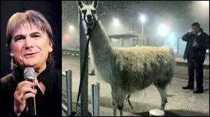  Je voudrais tant que tu sois l  est une magnifique chanson interprte par Serge Lama et :