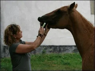 La vermifugation sert  viter ...