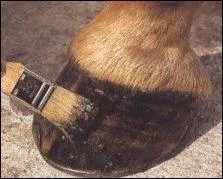 En hiver on utilise du goudron ...