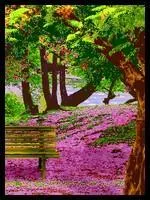 Dans quel endroit rencontre-t-on le plus souvent les petits amis pour la premire fois ?