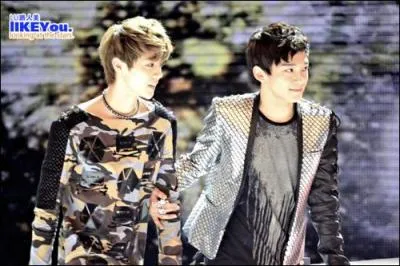 Comment s'appellent les principaux chanteurs ?