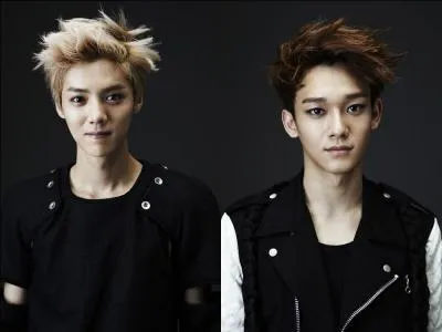 Quand sont ns les chanteurs principaux ?