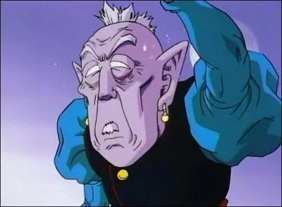 Avec qui le vieux Kao Shin a-t-il fusionn avec les Potalas ?