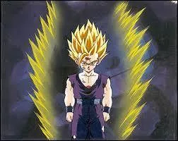 Qu'est-ce qui a permis  Sangohan de se transformer en Super Sayen 2 ?