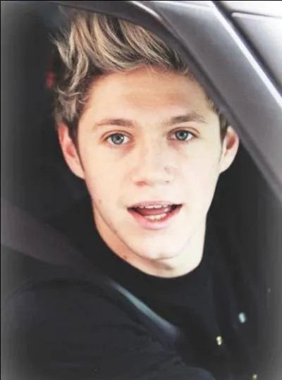 Comment s'appellent le frre de Niall et son neveu ?