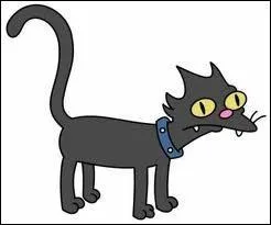 Qui est le chat des Simpson ?