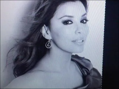 Pour quelle marque n'a-t-elle jamais �t� l'�g�rie ?